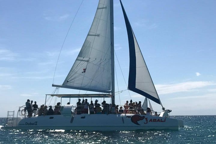 5 tours in 1 (Eco Farm/Horseback/City Tour/Buggy/Zipline)