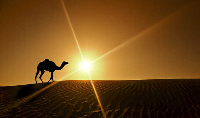 Magic of Marrakech and the desert 6 days