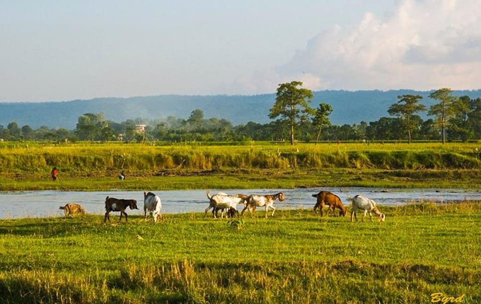 6-Day Chepang Village Homestay Hike – A Journey into Nepal’s Indigenous Heartland