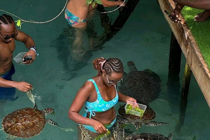 7 Days Zanzibar Holiday with Mikumi National Park Day Trip