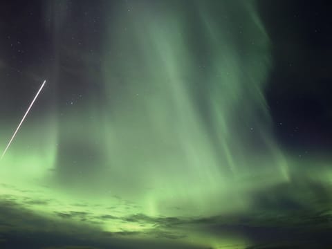 Forest Lagoon & Northern Lights
