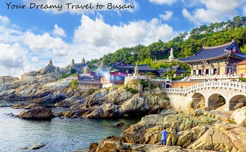 Busan Highlights Small Group Tour for Cruise Passengers