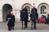 Private Half Day London Tour With Car/Black Cab/MPV/Van/Coach 5