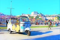 Full-Day Private Tuk Tuk All Around Porto 6