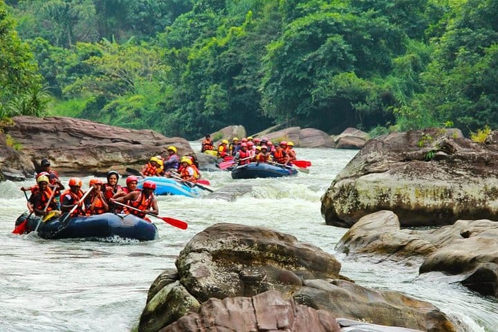 Overnight Camping Adventure Experience at Kitulgala 6