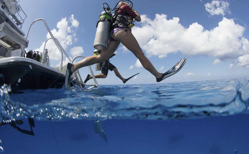 Red Sea Scuba Diving Tour in Hurghada, Egypt