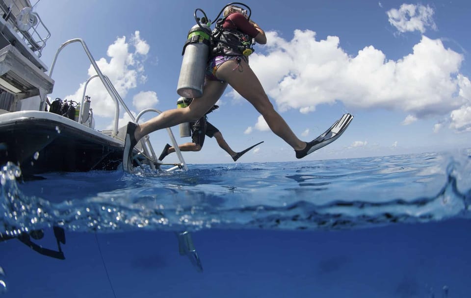 Red Sea Scuba Diving Tour in Hurghada, Egypt