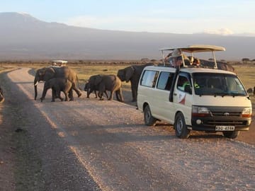 Two-Day Safari Experience in Amboseli National Park from Nairobi