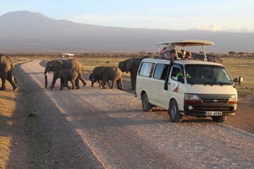 Two-Day Safari Experience in Amboseli National Park from Nairobi