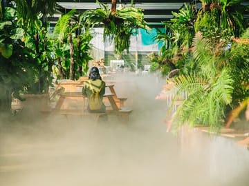 Cloud Hunting Tour with Local Delicacies in Dalat