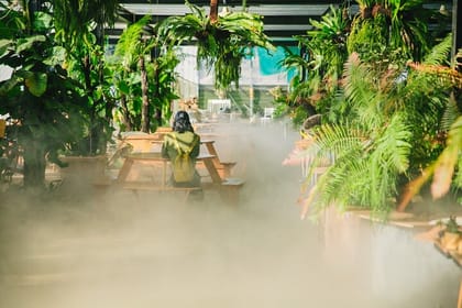 Cloud Hunting – Experience Dalat Special Products