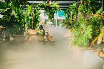 Cloud Hunting Tour with Local Delicacies in Dalat