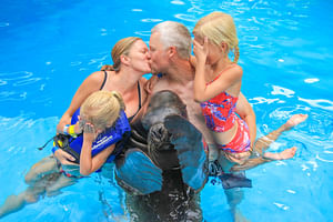 Sea Lion Encounter
