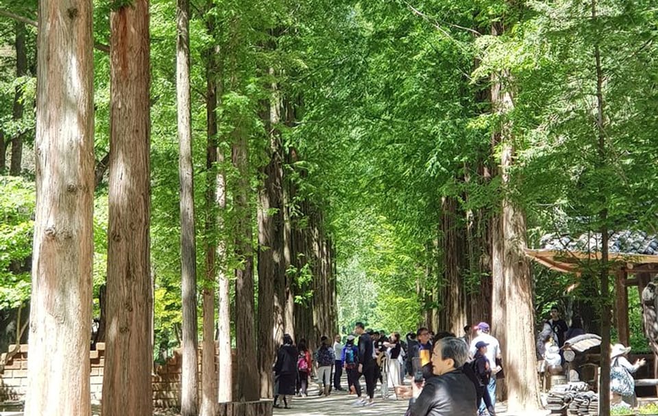 Nami Island and Petite France – Filming location
