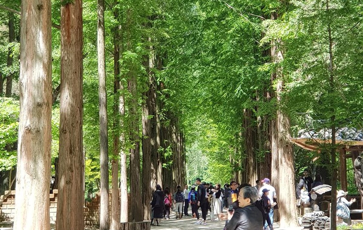 Nami Island and Petite France – Filming location