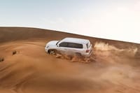 dubai desert excursions