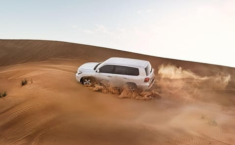 Dubai Desert Adventure with BBQ Dinner and Live Entertainment