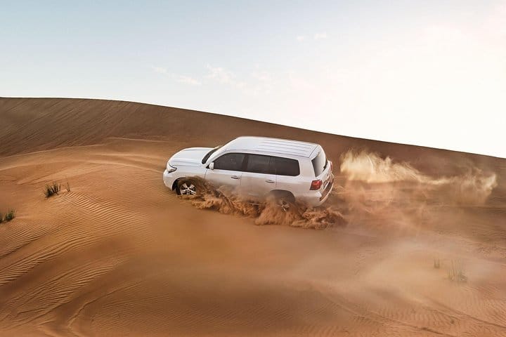 dubai desert excursions