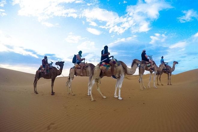 Camel rides - Tinfou desert