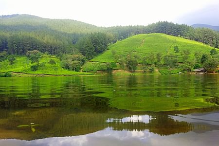 Sembuwatta Lake Adventure: Explore Tea Gardens & Pine Forests in Sri Lanka