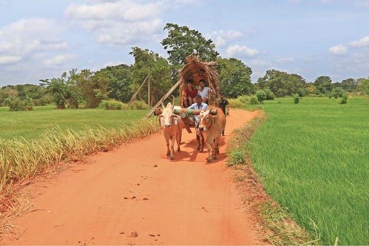 Uncharted Ceylon – Private 7 Days Tour