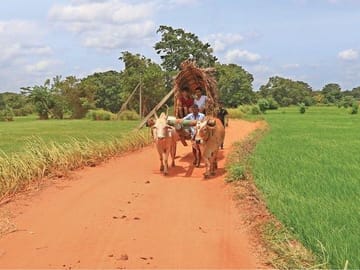 Village Trekking Tour Sigiriya