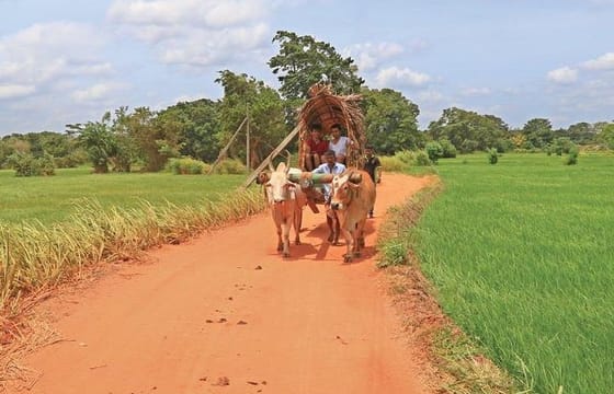 Village Trekking Tour Sigiriya