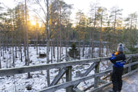 Visit to Ranua Arctic Wildlife Park - Rovaniemi 4