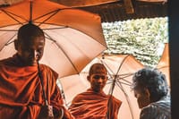 Morning Walking Tour at Local Livelihood in Battambang 7