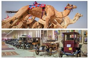 (Private Combo Tour) Sheikh Faisal Museum And Camel Race Track 