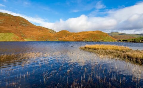 Lake District and Windermere Day Tour from Manchester