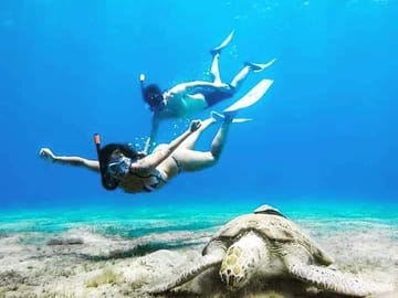 Snorkeling and Boat Tour at Paradise Island, Hurghada
