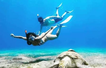 Snorkeling and Boat Tour at Paradise Island, Hurghada