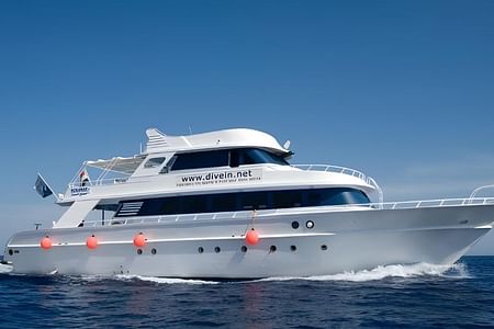 Private Luxury Boat Tour to Ras Mohamed & White Island Adventure