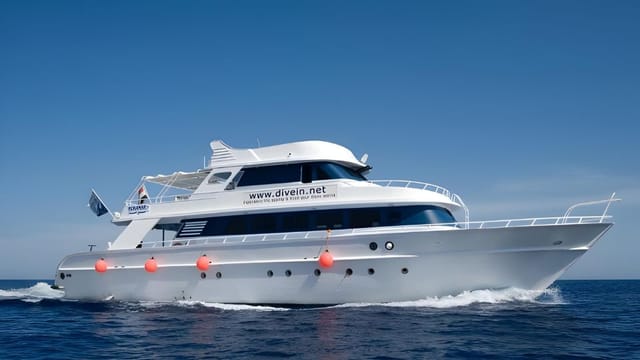 Private Boat Ras Mohamed & White Island