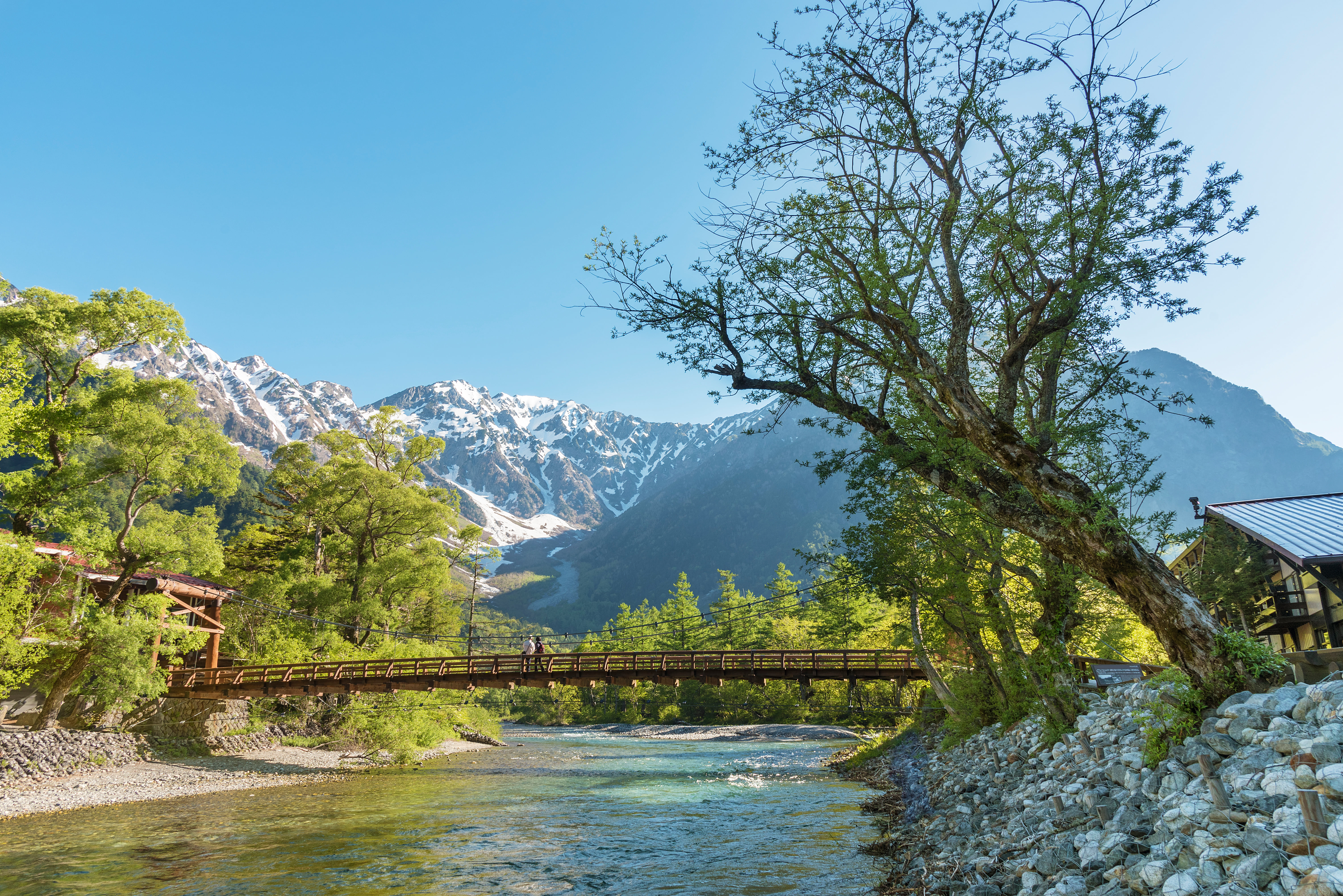 Kamikochi Custom Day Tour