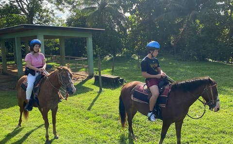 Horseback Riding Adventure in Placencia, Belize