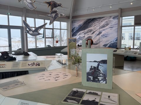 Skútustaðir farm culture & history tour, photo 4