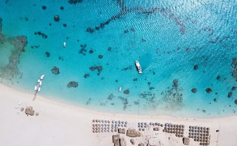 Snorkeling and Dolphin Tour at Three Islands in Hurghada
