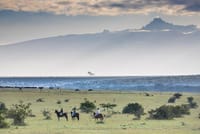 5 Day Hiking Adventure Mt Kenya Via Sirimon Route 2