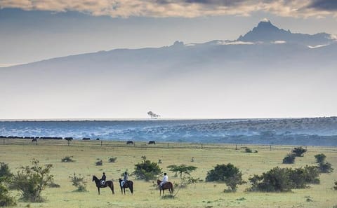 5-Day Hiking Tour of Mt Kenya via Sirimon Route from Nairobi