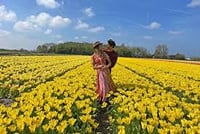 Visit the Kuekenhof gardens and its tulip fields with a car and private guide picked up at your hotel 1