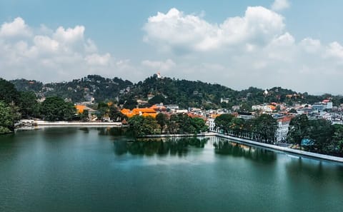 8-Day Cultural and Nature Tour of Sri Lanka from Colombo