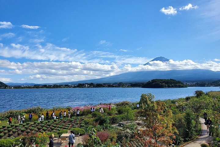 2 Days Tour Mount Fuji and Hakone