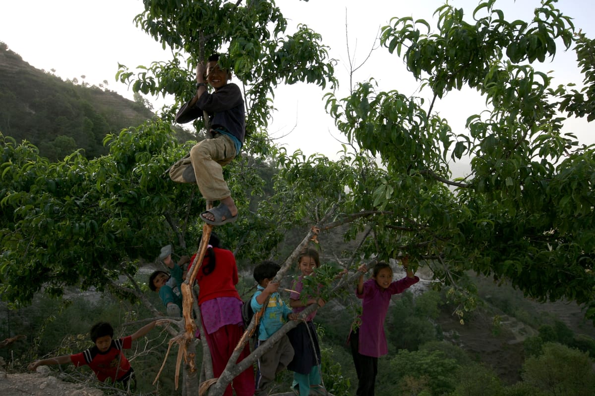 19 Days Mera Peak Climbing & Expedition – One Life-Changing Himalayan Adventure