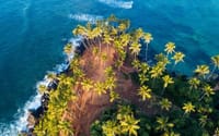  From Galle: Mirissa Whale Watching Tour 8