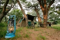 Savuti: 3 Day Mobile Safari with Safari River Cruise in Chobe River 10