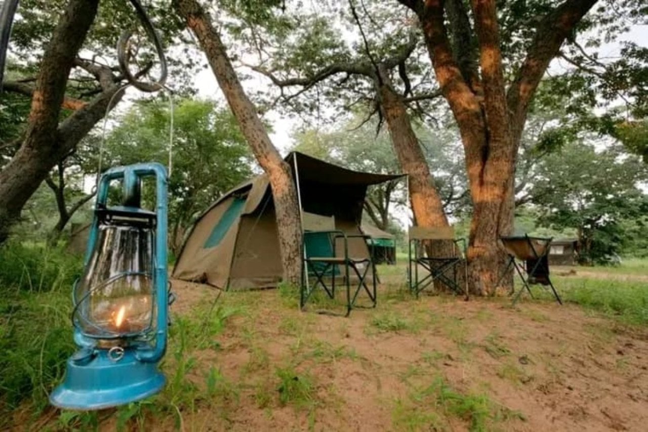 Savuti: 3 Day Mobile Safari with Safari River Cruise in Chobe River 10