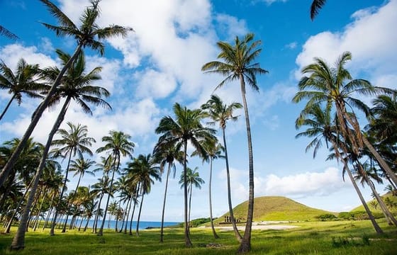 Full-Day Easter Island Tour: Moai Statues and Island Highlights