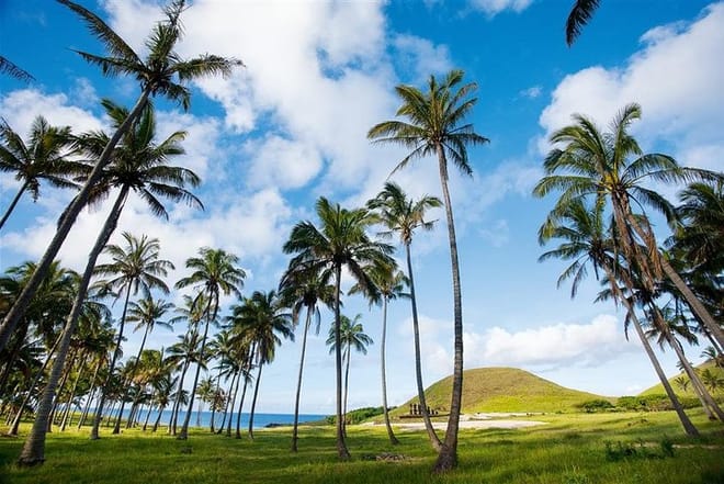 Full-Day Easter Island Tour: Moai Statues and Island Highlights 2